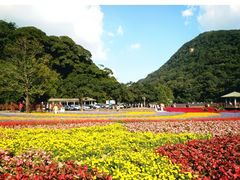 -广州市石门国家森林公园