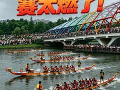 -南汇新城城市公园