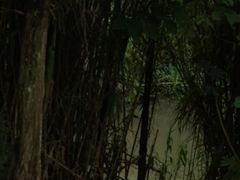 -白鹭湾湿地公园