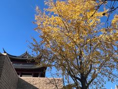 -苏州吴宫泛太平洋酒店