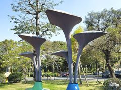 -佛冈森波拉度假区