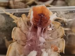 -胶东海鲜大排档(北太平庄店)