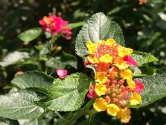 -苏州河梦清园环保主题公园