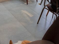 -Home Cafe