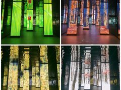 -中国湿地博物馆