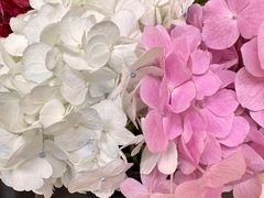 -上海虹桥迎宾馆