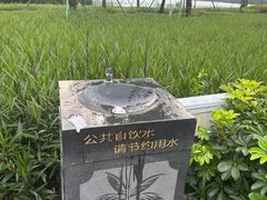 -顺峰山公园