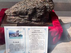 -延庆地质公园博物馆