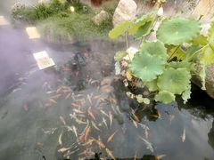 -醉香隆.山水庭院.湖北菜(东湖店)
