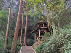 -青城山