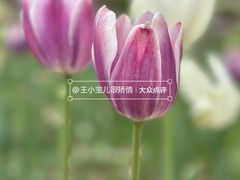 -朝阳公园