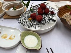 -梧桐