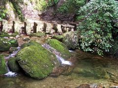 -牛背梁国家森林公园