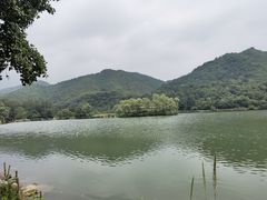 -玉渡山自然风景区