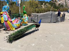 -西霞口神雕山野生动物世界