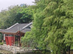 -顺峰山公园