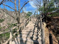 -王顺山国家森林公园
