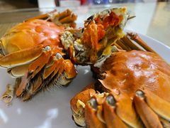 -蒙肥羊·酸汤潮牛·鲜牛肉火锅烤肉自助(岗顶店)