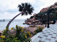 -那琴半岛地质海洋公园