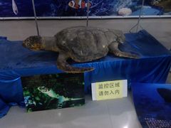 -南京金牛湖风景区