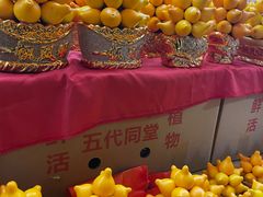 -越秀西湖花市(广州城市广场花卉店)