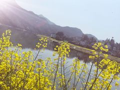 -新安江山水画廊风景区