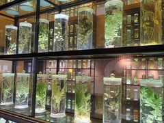 -广东中医药博物馆