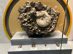 -湖南省地质博物馆