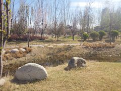 -武清南湖绿博园