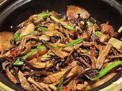 烟熏腊肉炒鹿茸菇-云海肴云南菜·蒸汽石锅鱼(新奥店)