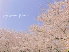 -龙美术馆(西岸馆)