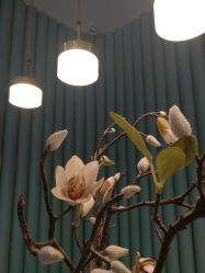 -凤绫儿亲子儿童摄影馆(天津店)