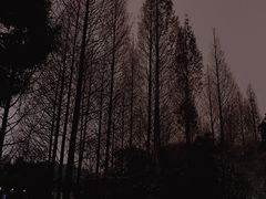 -观山湖公园