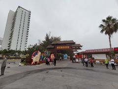 -北海金海湾红树林生态旅游区
