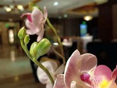 -大蓉和(一品天下店)