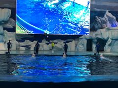 -福州罗源湾海洋世界旅游区