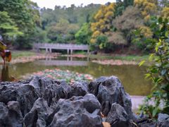 -深圳国际园林花卉博览园