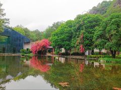 -Club Med地中海俱乐部·桂林度假村