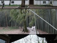 -西湖风景区十里琅珰-五云山