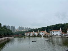 -圣爵菲斯大酒店(长沙世界之窗店)
