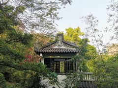 -深圳国际园林花卉博览园