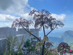 -白草畔自然风景区