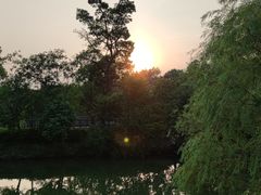 -苏州太湖国家湿地公园