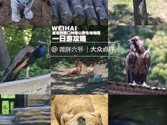 -西霞口神雕山野生动物世界