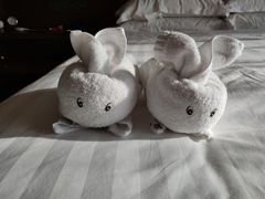 -三亚湾海居铂尔曼度假酒店