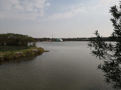 -上海都市菜园
