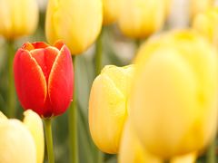 -廊坊文化艺术中心