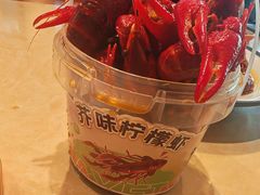-杨氏青龙虾·羊蝎子(珠江路店)