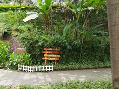 -重庆彩云湖湿地公园