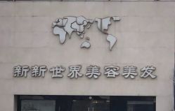 -新世界